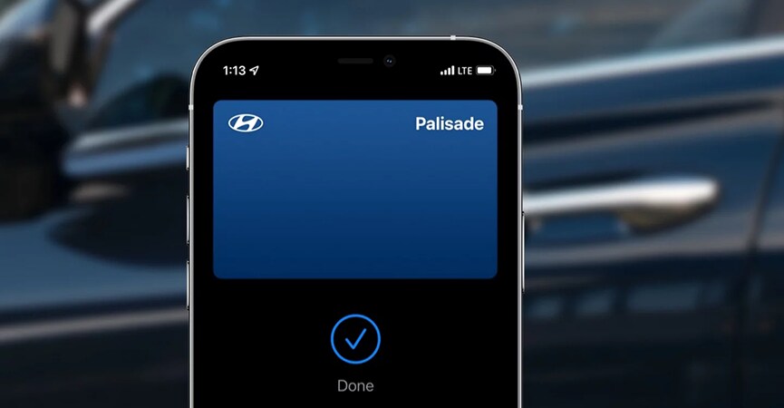 2025 Palisade