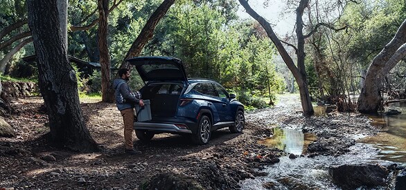 2025 Tucson