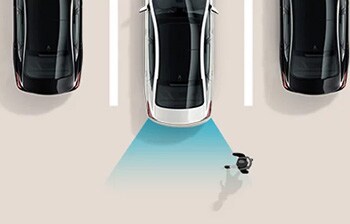 2025 Palisade