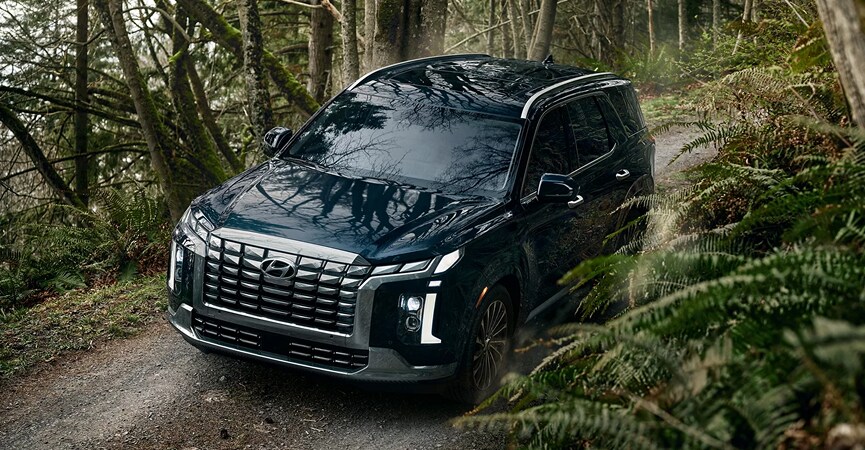 2025 Palisade