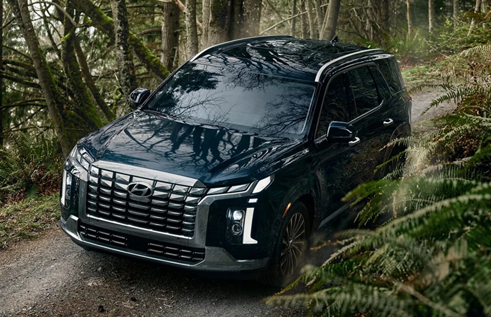 2025 Palisade