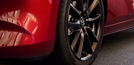 Dynamic Black Accents