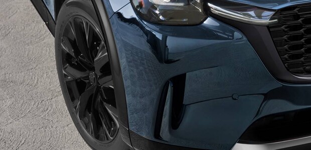 SOPHISTICATED BLACK ACCENTS