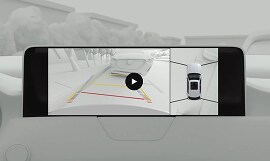 360° View Monitor