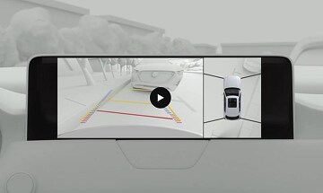 360° View Monitor
