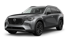 3.3 Turbo Premium Sport