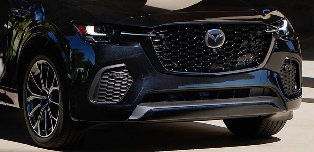 Stylish Black Accents