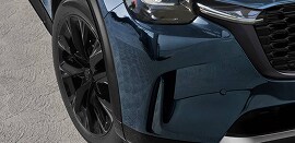 SOPHISTICATED BLACK ACCENTS