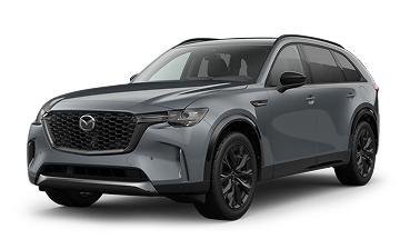 3.3 Turbo S Premium Sport