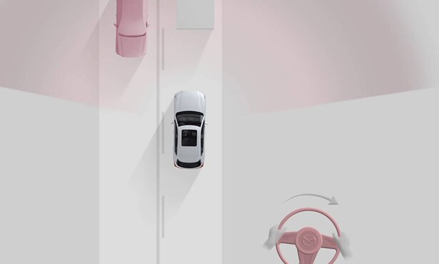 Head-On Traffic Avoidance Assist