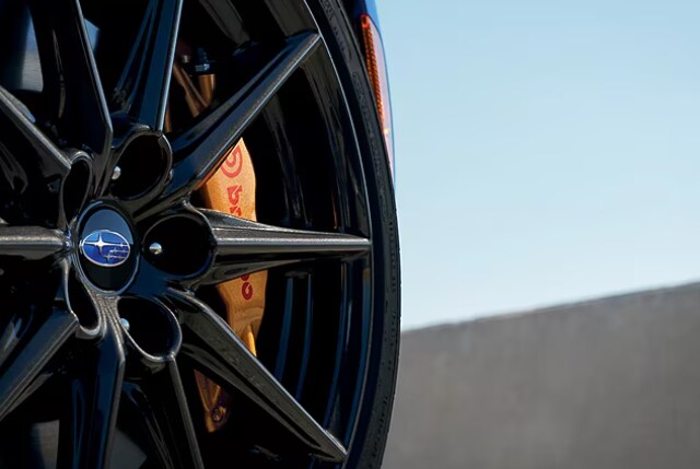 Gallary_6