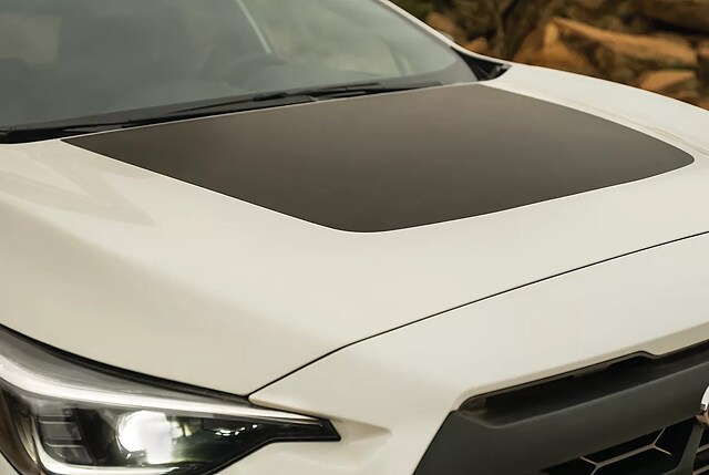 Gallary_5
