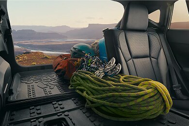 Gallary_4