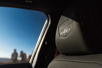 Gallary_6