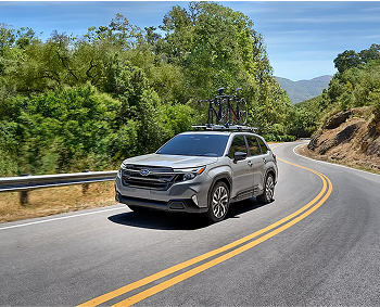 Stability and Control