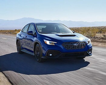 2025 WRX
