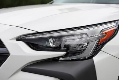 Gallary_1