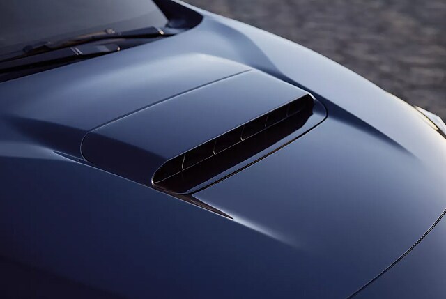 Gallary_5