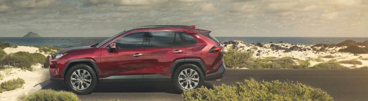 2019-Toyota-RAV4-Limited-SUV-L01 (1).jpg