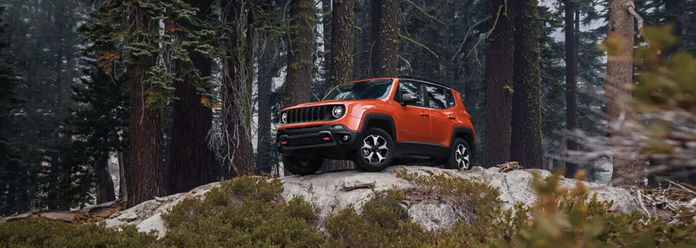 2021 Jeep Renegade.jpg