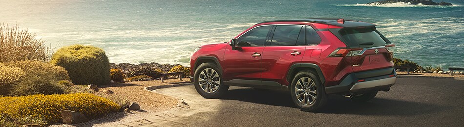 2019-Toyota-RAV4-Limited-SUV-L02v2.jpg Toyota RAV4 Green Bay WI