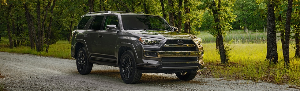 2019 Toyota 4Runner 2019 Toyota 4Runner in the woods