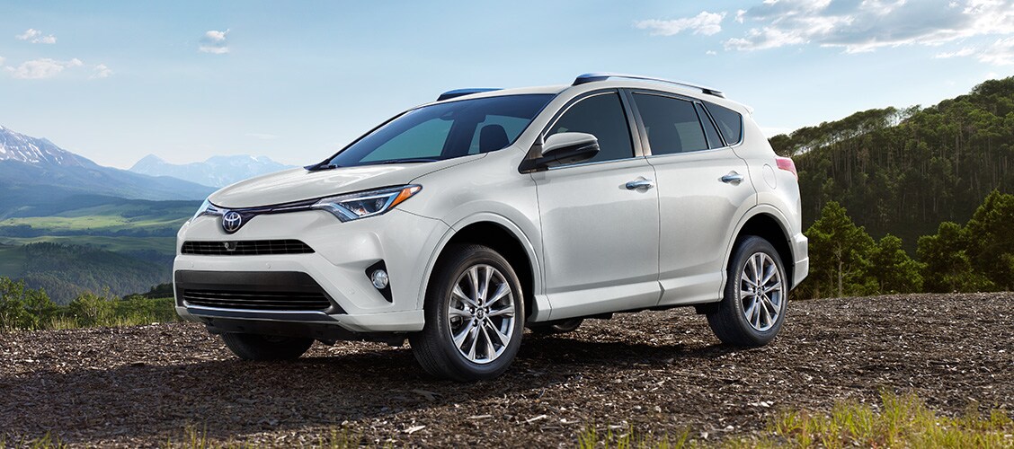 rav4.jpg