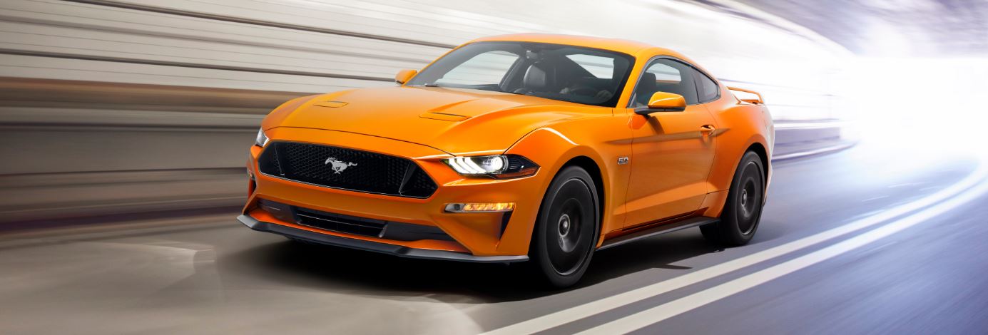 Mustang.JPG