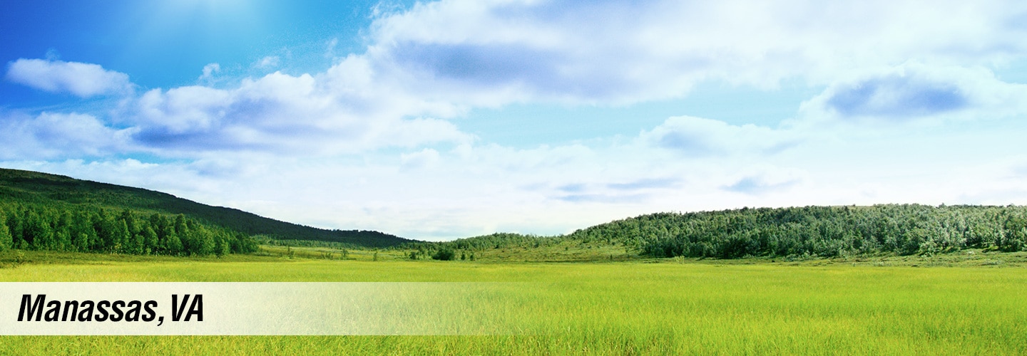 header.jpg