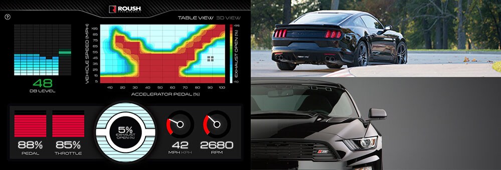 Roush17-3-features.jpg