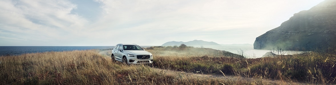 2019-XC60