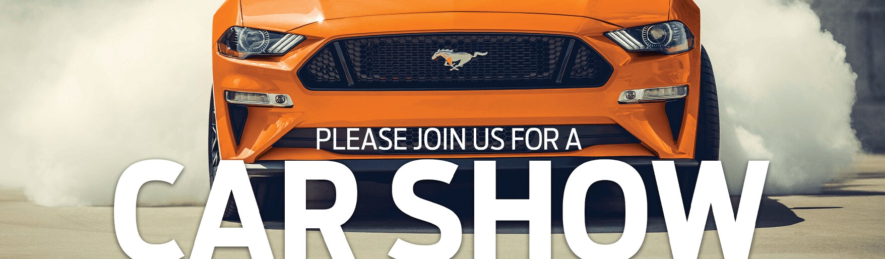 WebBanner_Ford.png