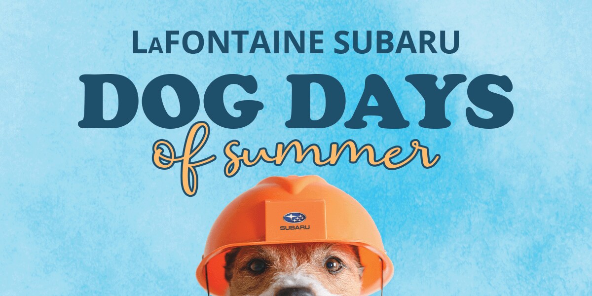 1200x600_DogDaysOfSummer.png