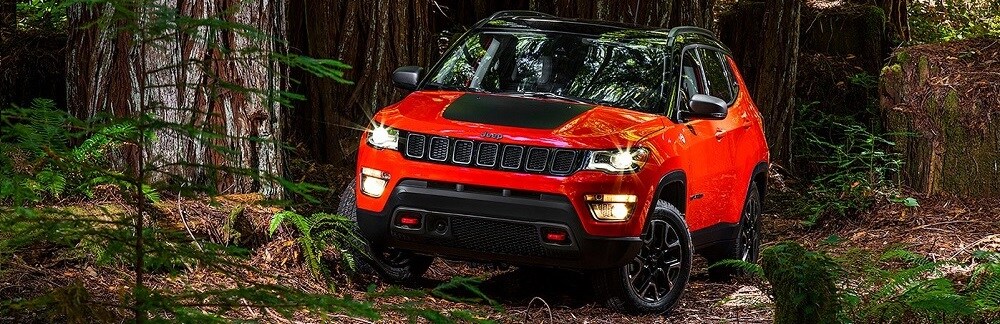 2019 Jeep Compass in LaGrange