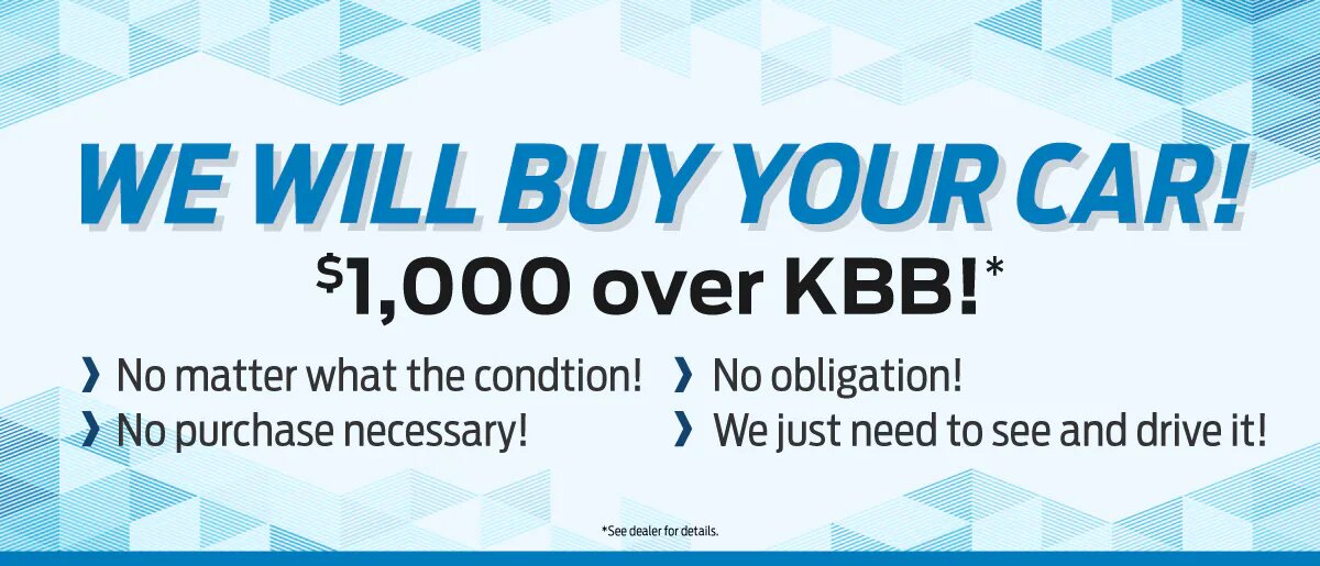 We Will Buy Your Car.jpg