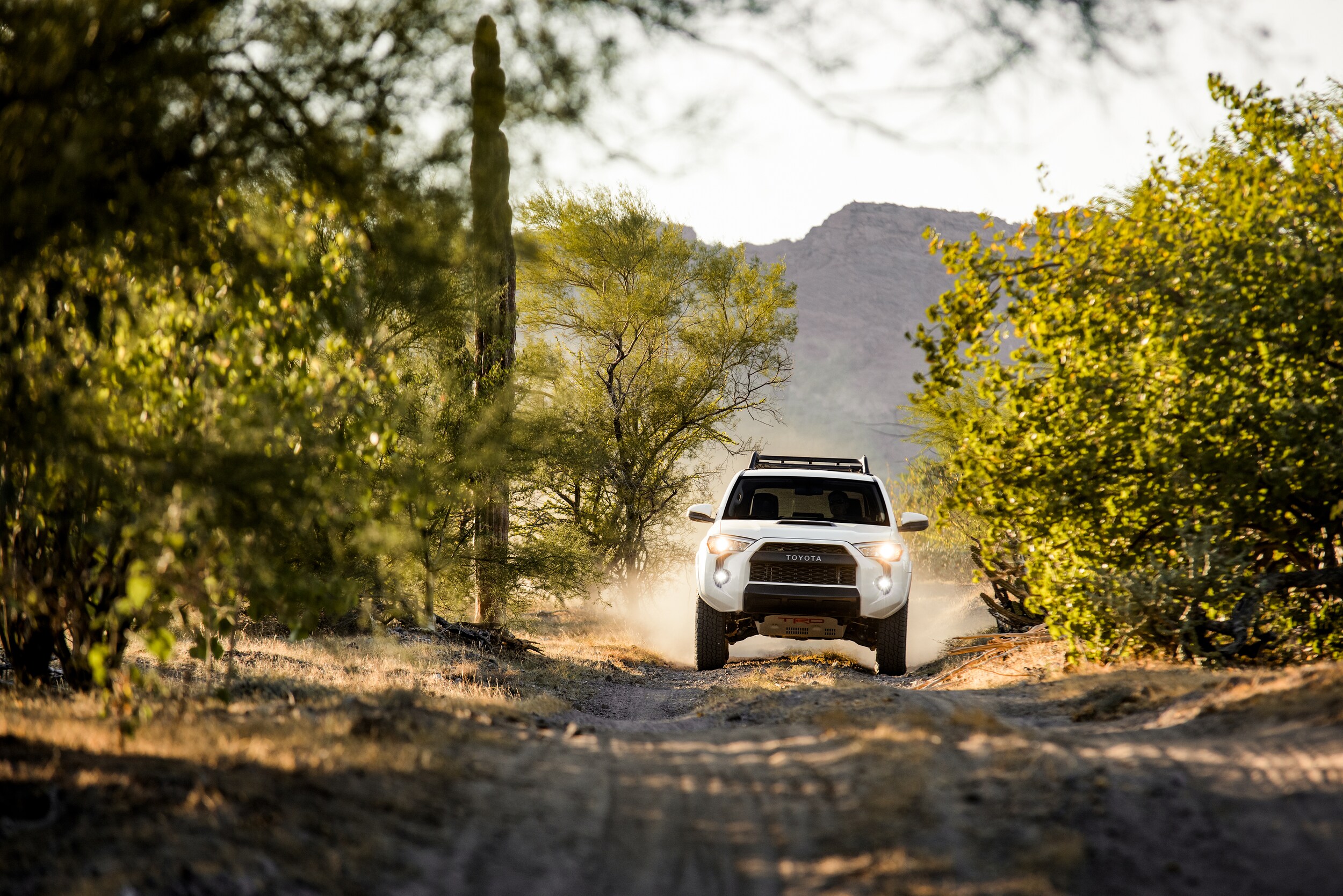 2019 Toyota 4Runner TRD Pro