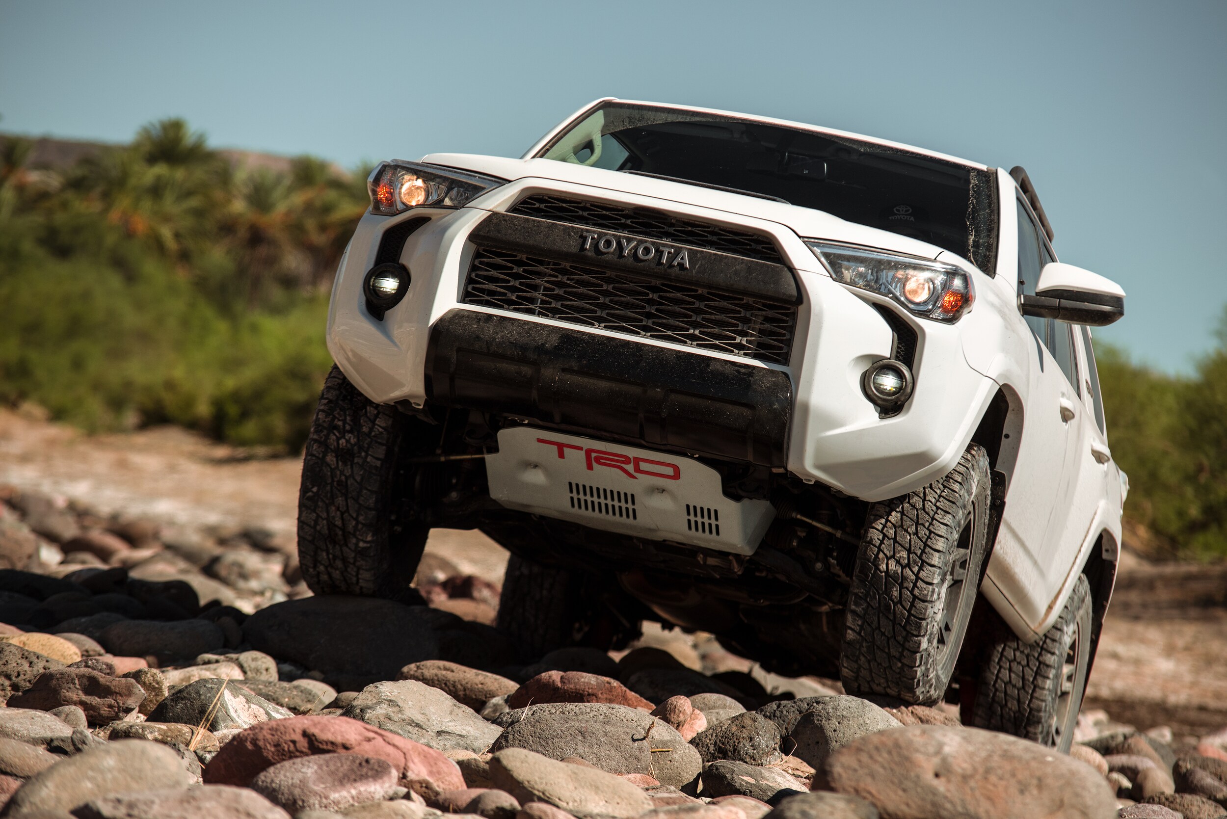 2019 Toyota 4Runner TRD Pro id=