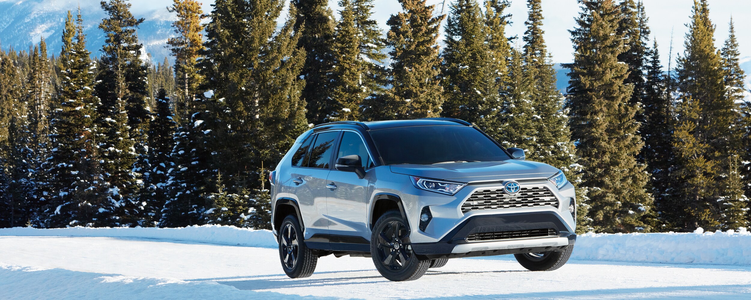2021 Toyota RAV4 (4).jpeg