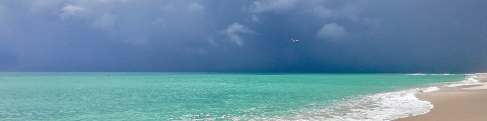 Florida Beach.png