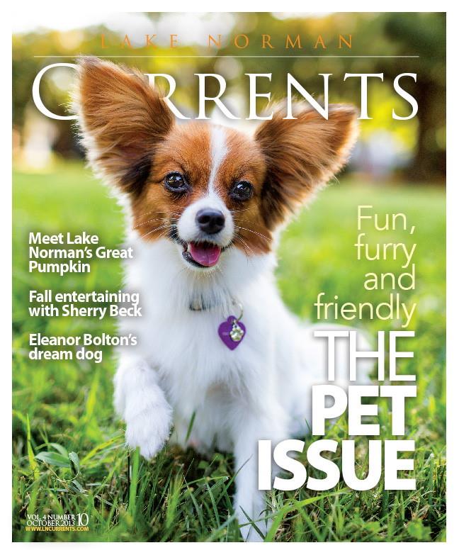 Lake Norman Chrysler Dodge Jeep Ram New Chrysler, Dodge, Jeep, Ram