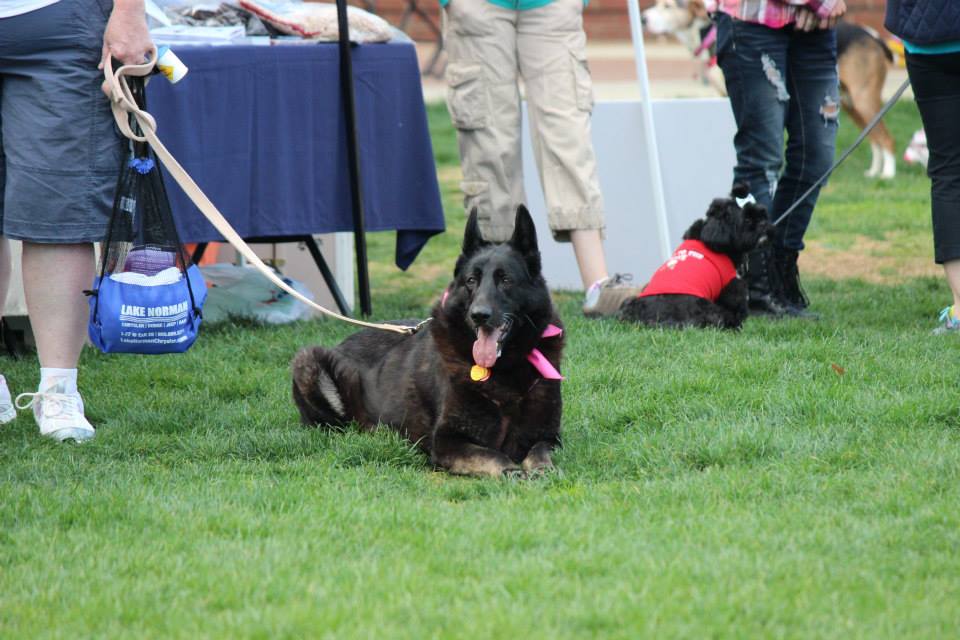 Lake Norman Chrysler Dodge Jeep Ram New Chrysler, Dodge, Jeep, Ram