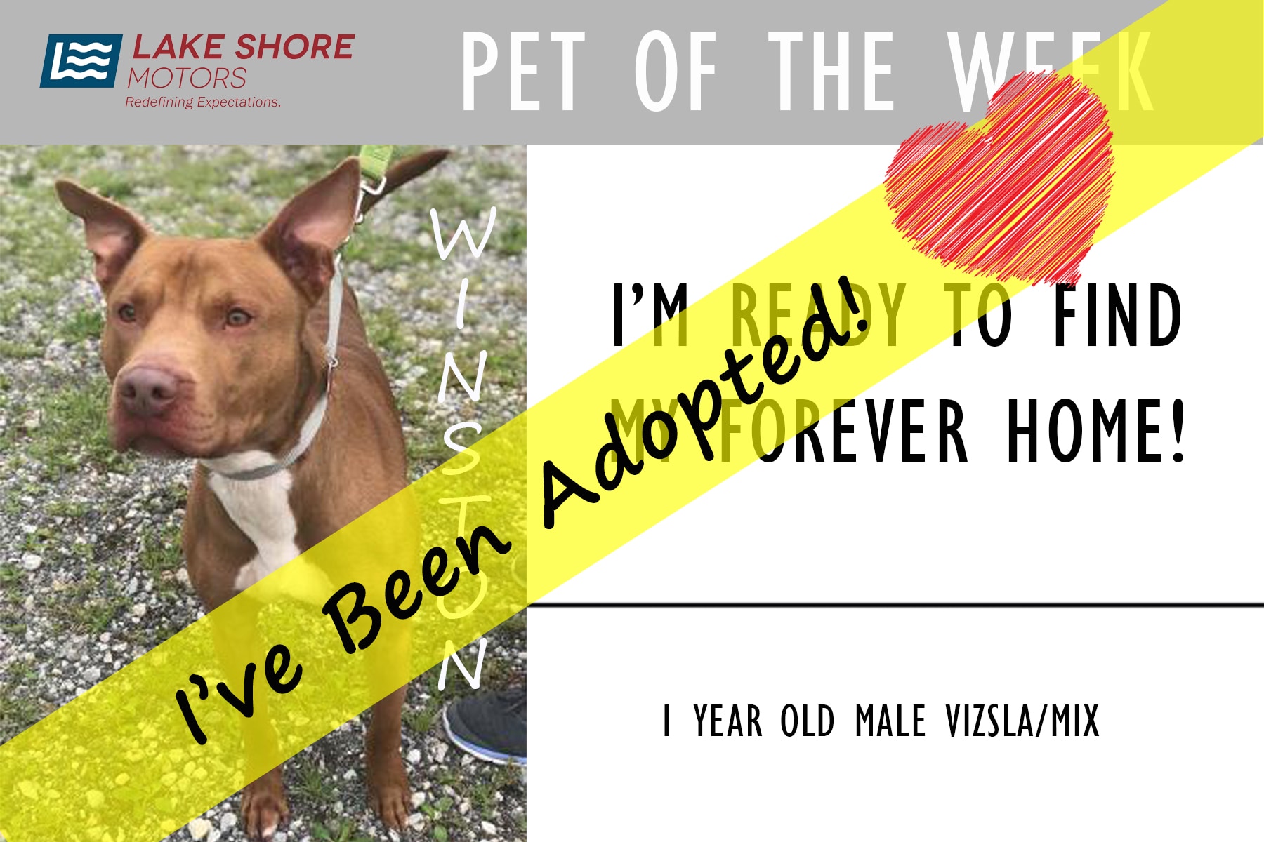 Adopted.jpg