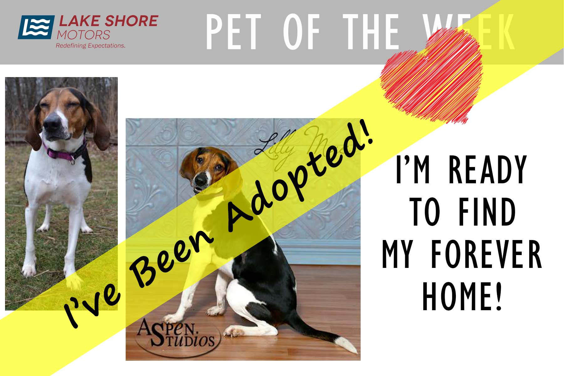 Adopted.jpg