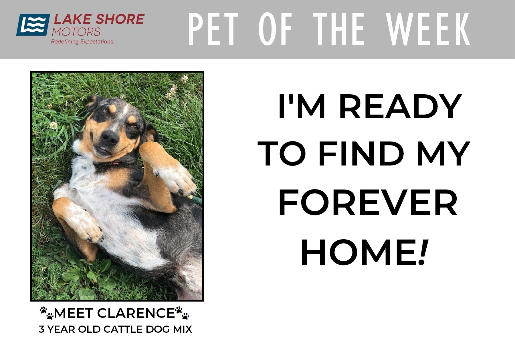 PET OF THE WEEK - Aug 23.jpg