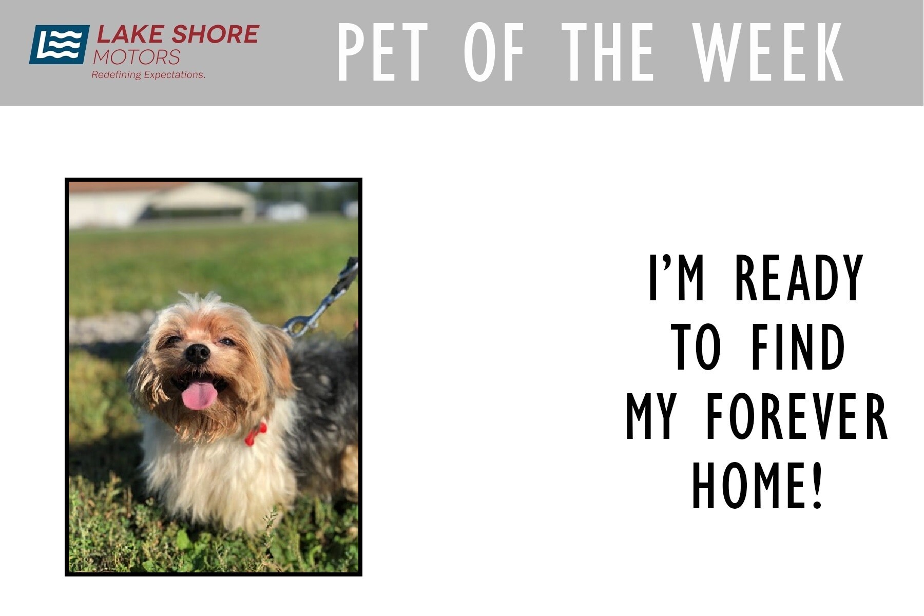 PET OF THE WEEK - Oct 4.jpg