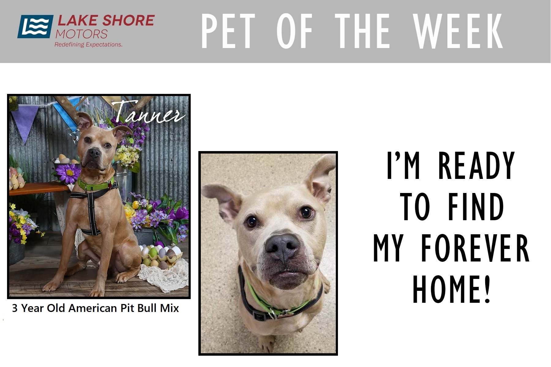 PET OF THE WEEK July 19th.jpg