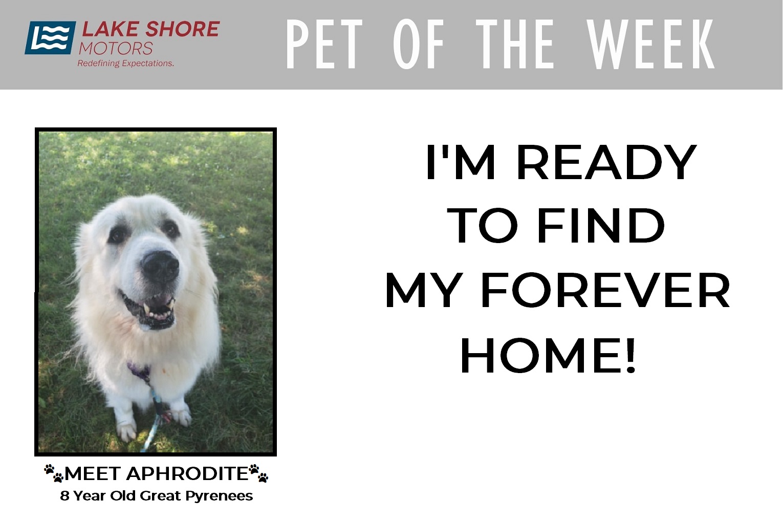 PET OF THE WEEK - AUG 9.jpg