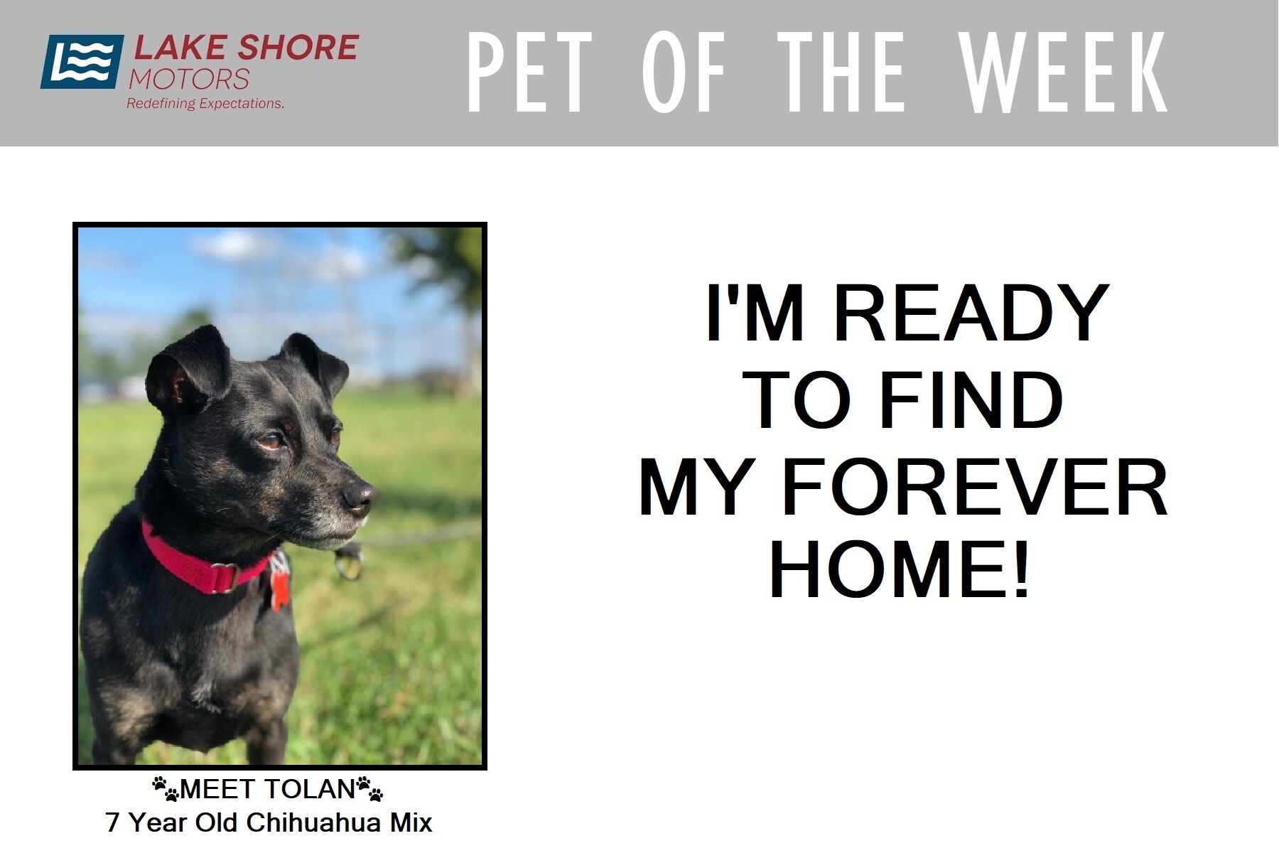 PET OF THE WEEK - Sept 6th.jpg
