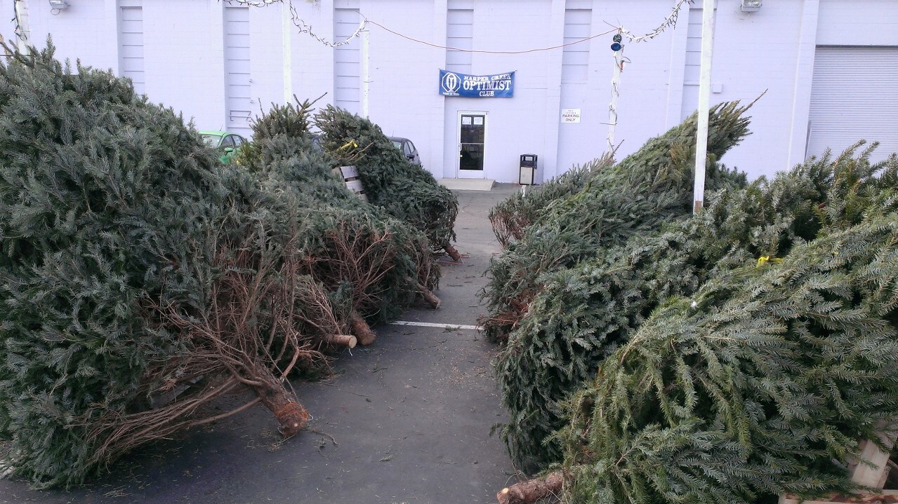 WP_20131202_009.jpg