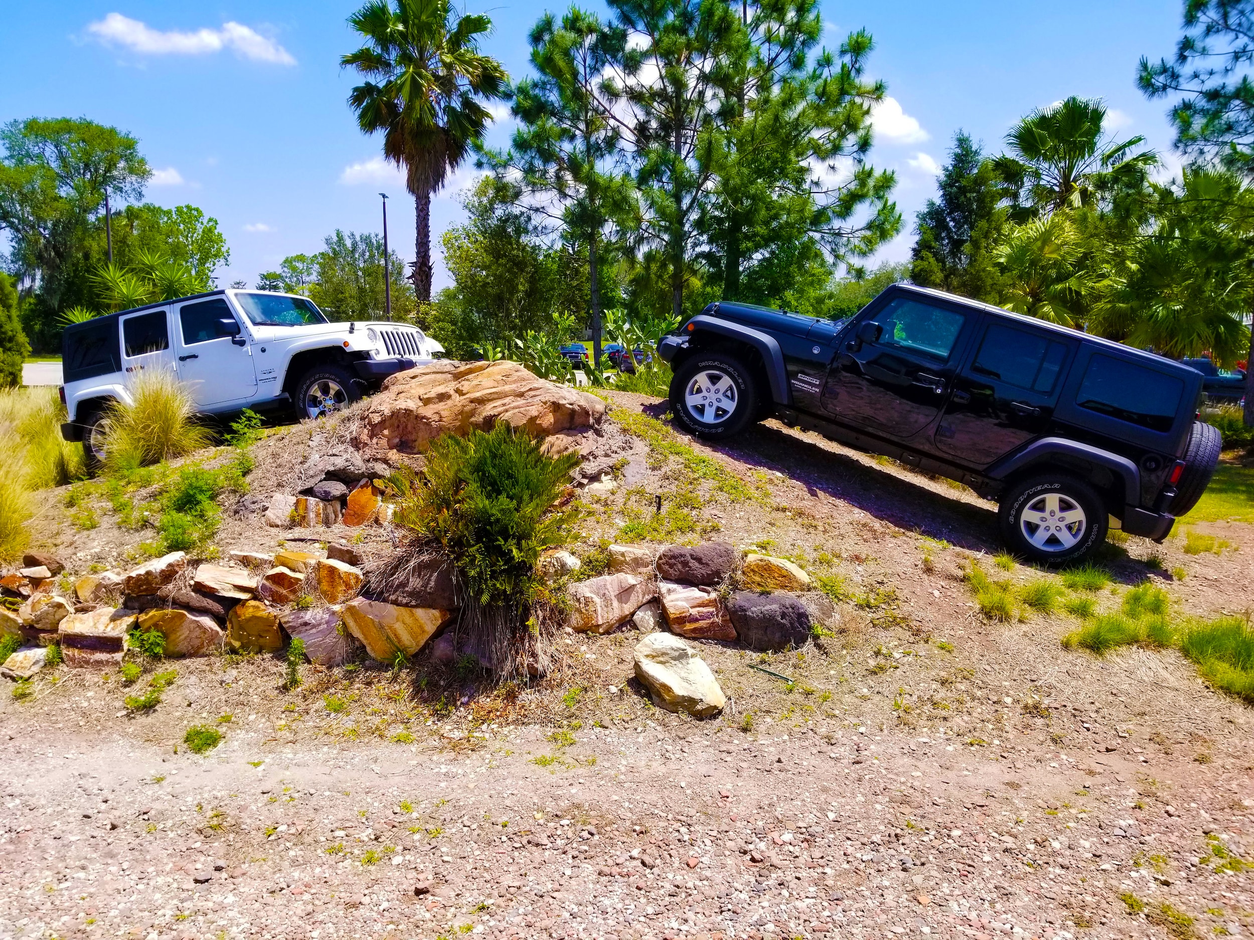 Jeep Mt Edited.jpg